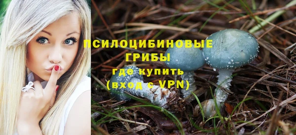 a pvp Алзамай