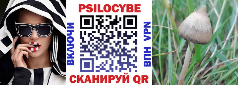 магазин    Кизилюрт  Галлюциногенные грибы Magic Shrooms 